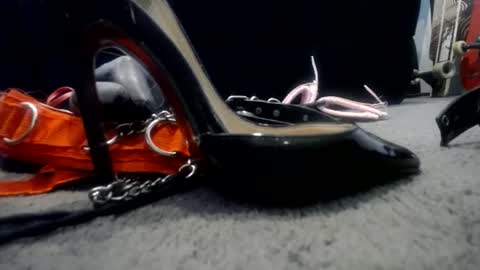 Snapshot of nikkkibabyyyy chatting on January 2025 06:20:02 AM Niquita Sparkles online show from January 2025 06:20:02 AM