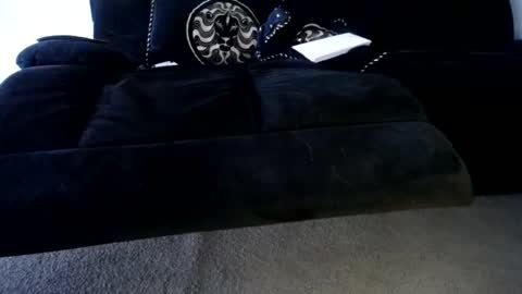 Niquita Sparkles online show from November 2025 04:16:01 AM