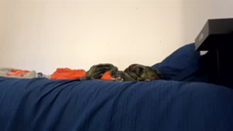 nikogigiii online show from January 2026 04:28:02 AM