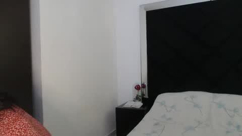 Snapshot of nina_inkk chatting on January 2025 10:15:02 PM Carolina online show from January 2025 10:15:02 PM