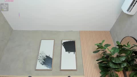 NINA online show from February 2025 06:09:02 PM