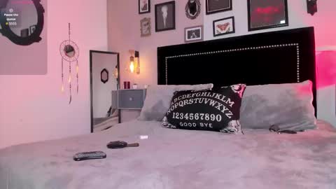 Alisson online show from February 2026 08:01:02 PM