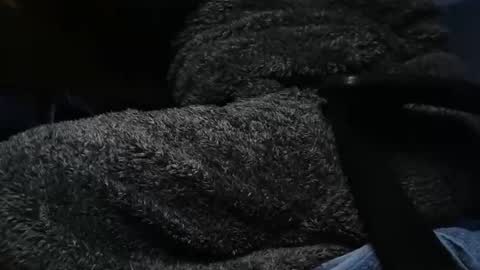 nineinchhard online show from February 2025 08:26:02 AM