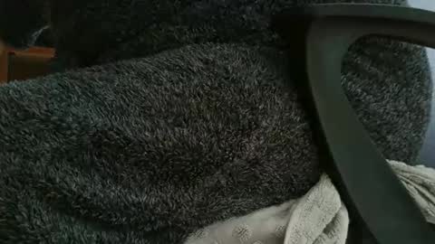 nineinchhard online show from October 2025 11:09:02 AM