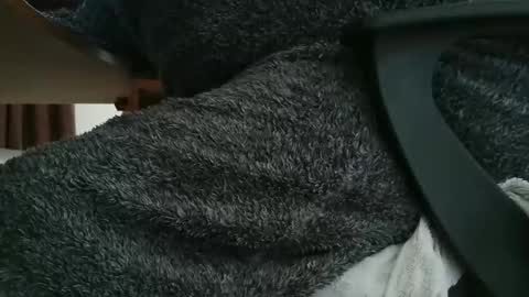 nineinchhard online show from November 2025 10:27:01 AM