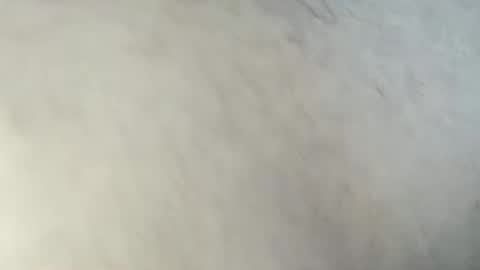 nineinchhard online show from February 2026 11:20:02 AM