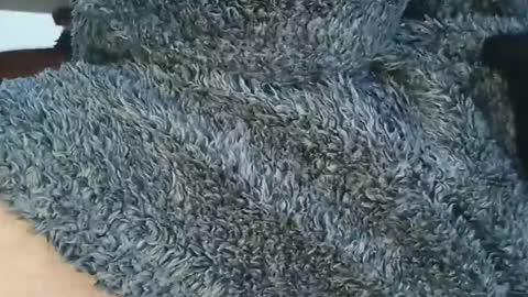 nineinchhard online show from April 2026 01:01:01 PM