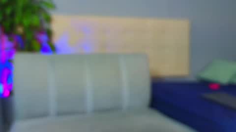 Snapshot of noah_coleman__ chatting on February 2025 08:33:02 AM NOAH online show from February 2025 08:33:02 AM