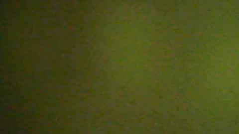 Peter online show from July 2026 12:19:02 PM