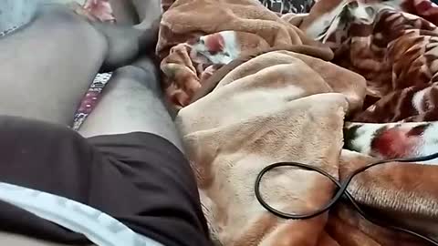 sim  nib online show from December 2024 07:11:01 PM