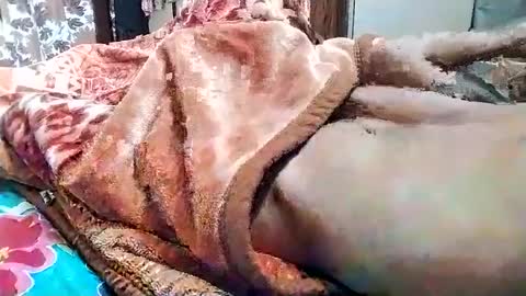 sim  nib online show from March 2025 05:31:02 AM