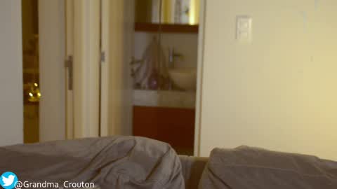 Snapshot of noreallyilikepeanuts chatting on February 2025 04:47:01 AM Ariane online show from February 2025 04:47:01 AM