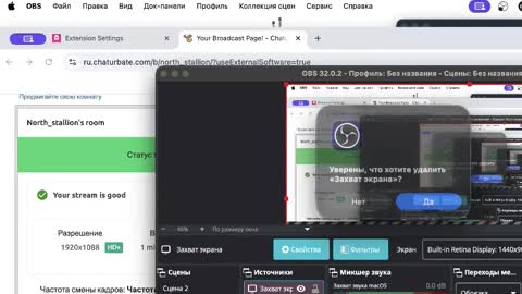 North stallions online show from November 2025 10:48:01 AM