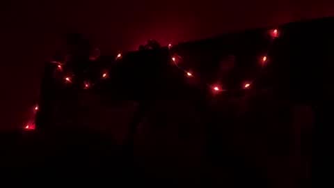 Snapshot of nova21127 chatting on October 2025 02:45:01 AM NOVA online show from October 2025 02:45:01 AM