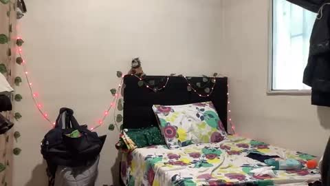 Snapshot of nova21127 chatting on October 2025 03:34:01 PM NOVA online show from October 2025 03:34:01 PM