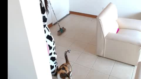 novaperotti online show from September 2025 02:05:02 PM