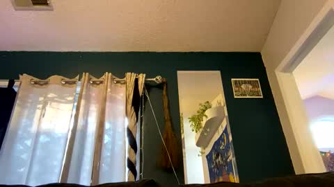 Snapshot of nudie_loops chatting on January 2025 09:36:02 PM nudie_loops online show from January 2025 09:36:02 PM