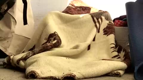 nuevotiempo online show from February 2026 12:57:02 PM