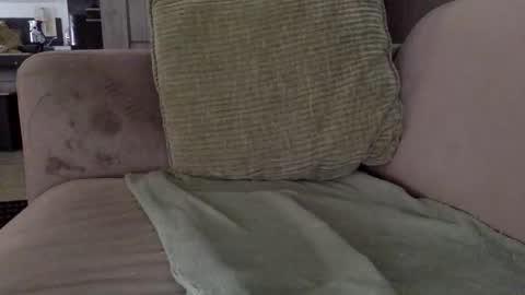 Snapshot of nylon2412 chatting on May 2026 12:20:01 PM nylon2412 online show from May 2026 12:20:01 PM