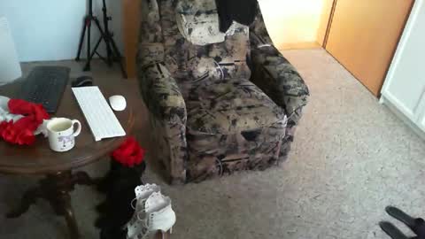 Snapshot of nyloniasau chatting on April 2026 07:31:01 AM Strumpfhose online show from April 2026 07:31:01 AM