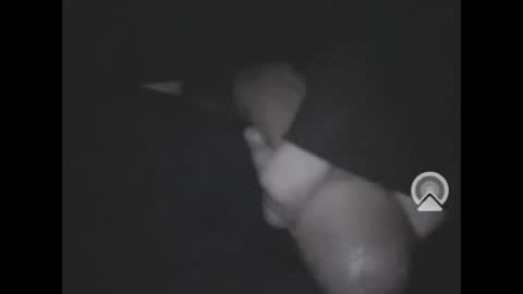 nympham online show from April 2026 07:06:01 AM