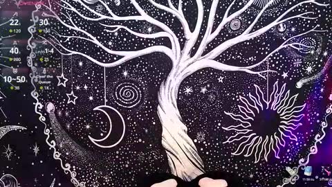 Snapshot of nyx_murtualer chatting on December 2025 03:00:02 AM nyx murtualer online show from December 2025 03:00:02 AM