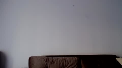 Snapshot of o_r_b_i_t chatting on December 2024 01:29:02 PM o_r_b_i_t online show from December 2024 01:29:02 PM