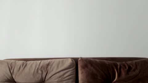 Snapshot of o_r_b_i_t chatting on January 2025 12:50:02 PM o_r_b_i_t online show from January 2025 12:50:02 PM