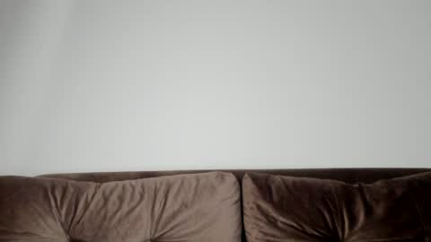 Snapshot of o_r_b_i_t chatting on January 2025 02:15:02 PM o_r_b_i_t online show from January 2025 02:15:02 PM