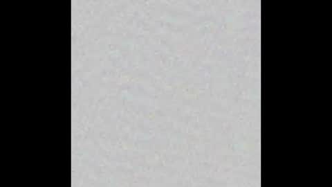 Obsidian stallion online show from November 2025 04:57:02 PM