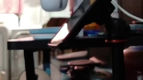Snapshot of obsidian_stallion chatting on July 2026 10:35:02 PM Obsidian stallion online show from July 2026 10:35:02 PM