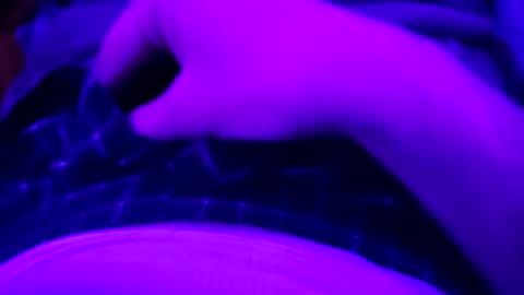 Snapshot of octorok1 chatting on January 2025 02:30:02 AM octorok1 online show from January 2025 02:30:02 AM