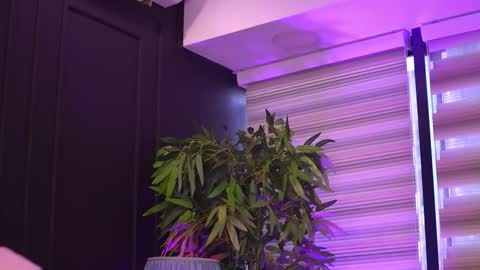 Odette online show from March 2026 06:09:02 AM