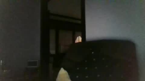 Snapshot of office_slr chatting on December 2024 07:45:02 AM Officer online show from December 2024 07:45:02 AM