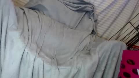 OGDigBick online show from February 2025 02:13:02 PM