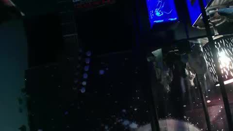 Snapshot of oheyhun chatting on November 2025 10:48:01 AM oheyhun online show from November 2025 10:48:01 AM