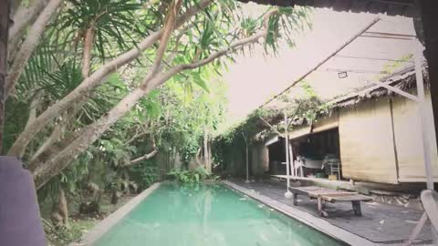 Mo online show from November 2025 01:55:01 AM