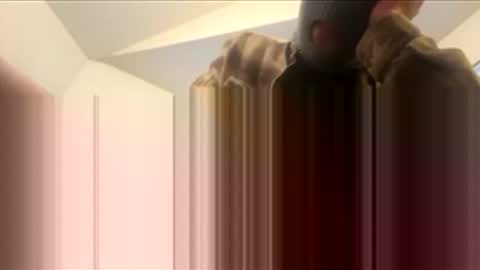 Snapshot of ohnowayyyy305 chatting on February 2026 04:02:01 PM ohnowayyyy305 online show from February 2026 04:02:01 PM