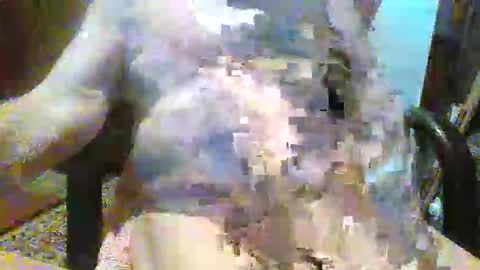 William online show from December 2025 09:19:02 PM