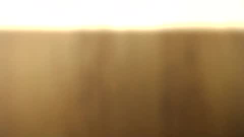 Snapshot of okoro1212 chatting on November 2025 01:08:02 AM okoro1212 online show from November 2025 01:08:02 AM