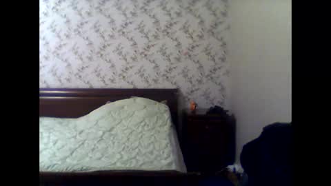 Snapshot of olegvvvvv chatting on December 2025 12:54:01 PM olegvvvvv online show from December 2025 12:54:01 PM