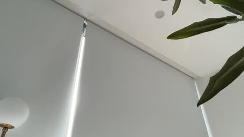 Snapshot of oliviabrookess chatting on November 2025 08:44:01 PM Olivia Brookes online show from November 2025 08:44:01 PM