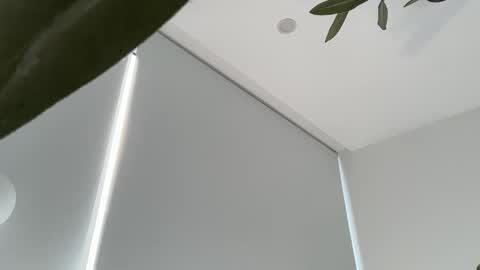 Snapshot of oliviabrookess chatting on November 2025 09:19:01 PM Olivia Brookes online show from November 2025 09:19:01 PM