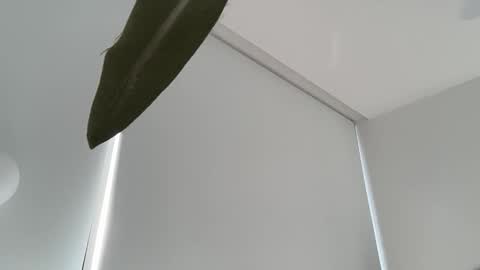 Snapshot of oliviabrookess chatting on December 2025 07:55:01 PM Olivia Brookes online show from December 2025 07:55:01 PM