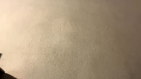 Snapshot of omgyesgurl chatting on September 2025 08:47:01 PM amy 3 online show from September 2025 08:47:01 PM