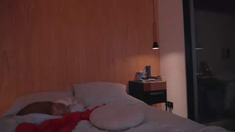 Ariel online show from December 2024 06:53:01 PM