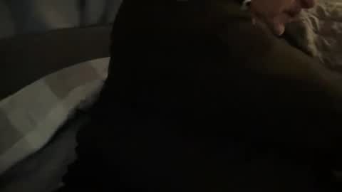 Snapshot of onthedlhere chatting on December 2024 12:00:02 AM onthedlhere online show from December 2024 12:00:02 AM