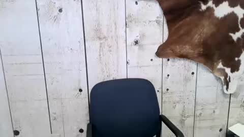 Snapshot of openmindedcowboy chatting on February 2025 11:35:01 PM kinkynerd online show from February 2025 11:35:01 PM