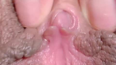 orchidekitty online show from April 2026 11:20:02 PM