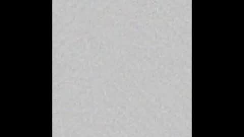 Oso Licencioso online show from November 2025 03:06:01 AM